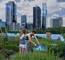 Positive Energy District (1)